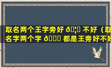 取名两个王字旁好 🦟 不好（取名字两个字 🍁 都是王旁好不好）